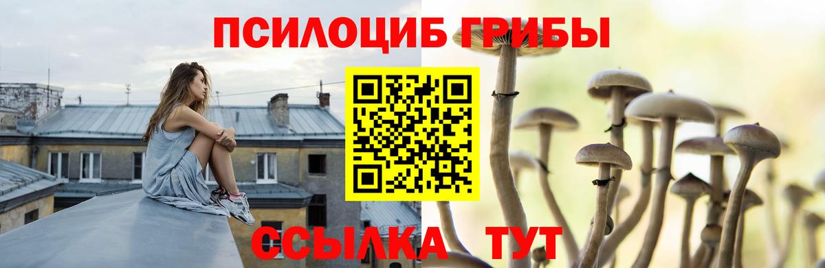 Губкин  Галлюциногенные грибы MAGIC MUSHROOMS  Вход с VPN  Галлюциногенные грибы Magic Shrooms 